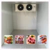 Power Cold Room Freezer, Solar, R134a - view 4