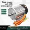 Power Square Wave Motor, 60V/72V, 3000W, Brushless, IP54 - view 6