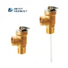 Pressure Relief Valve, Brass, Hydraulic