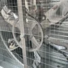 Push Pull Exhaust Fan, 50'', 1380mm, Centrifugal - view 5
