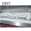 Quick Belt Tunnel Freezer, 1000kg/h, 380 V - view 5