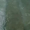 video-thumb-0