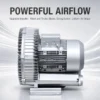 Regenerative Blower, 240 V, Electric - view 3