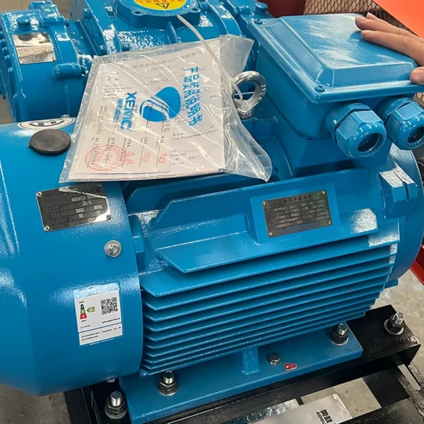 Ring Blower, 2hp-180hp, 380 V, Electric - view 6
