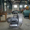 Ring Blower, 4hp, 380 V, 265 - view 2
