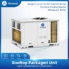 Rooftop Packaged Unit, 15Ton, 20Ton - view 2