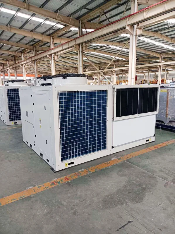 Rooftop Packaged Unit, R410a, 50hz - view 6