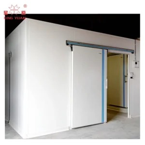 Room Cold Storage Freezer, 220