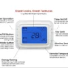Room Cooling Temperature Controller, T6861 - view 6