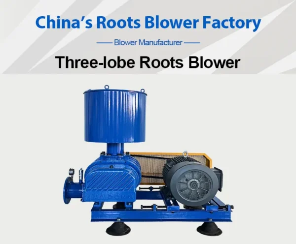 Roots Blower, 0.5~500m³ - view 6