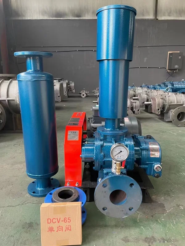 Roots Blower, 1.5KW, Cast - view 3