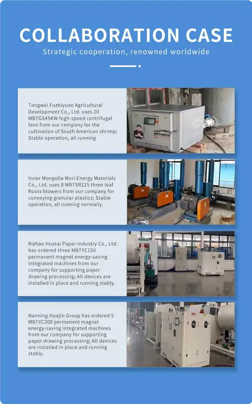 Roots Blower, 1000m/h, Cast, ATEX - view 6