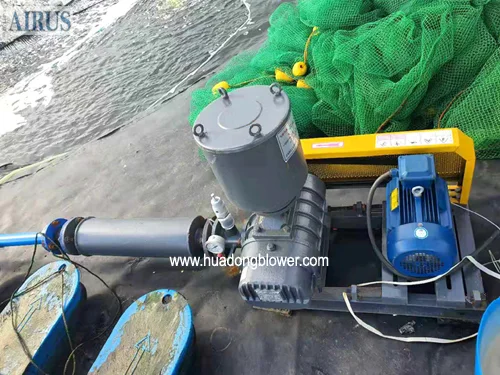 Roots Blower, 10hp, rotary aerator, 2" - view 4