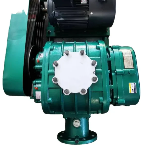 Roots Blower, 120V, Electric Blower - view 3