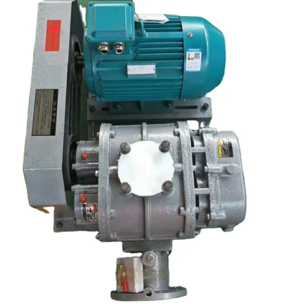 Roots Blower, 120V, Electric Blower - view 6