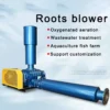 Roots Blower, 1250, ZA-202 - view 2