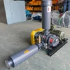 Roots Blower, 15%, 220 V, Electric - view 2
