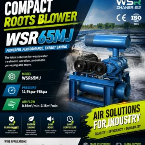 Roots Blower, 220, Electric