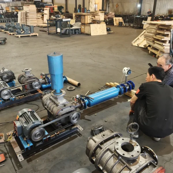 Roots Blower, 220, Electric - view 3