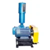 Roots Blower, 220 V, Electric - view 3