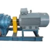Roots Blower, 2HP/5HP, Stainless, Steel, 220V