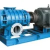 Roots Blower, 2HP/5HP, Stainless, Steel, 220V - view 2
