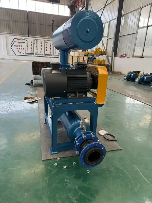 Roots Blower, 380 V, Electric - view 2