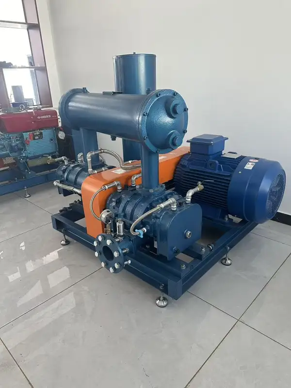 Roots Blower, 380 V, Electric - view 2