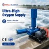 Roots Blower, 380 V, Electric - view 3