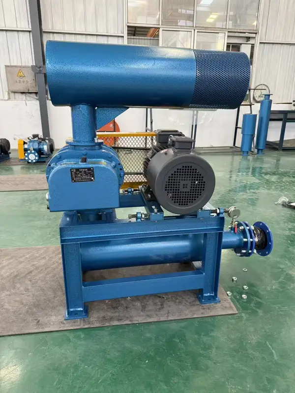 Roots Blower, 380 V, Electric - view 6