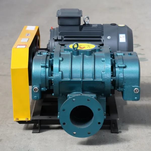 Roots Blower, 380 V, Pneumatic - view 4