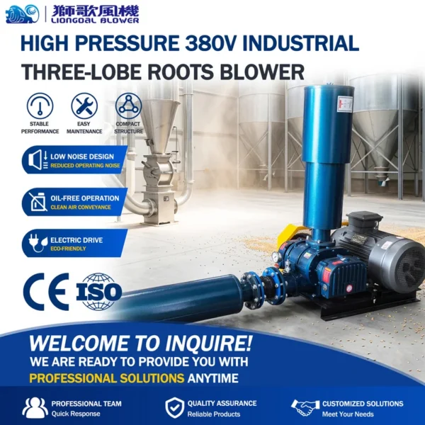 Roots Blower, 380V, 50HZ, 4hp - view 4