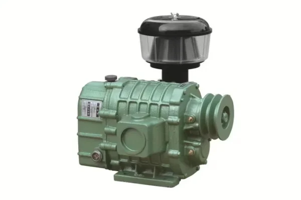 Roots Blower, 5hp, 220v - view 2