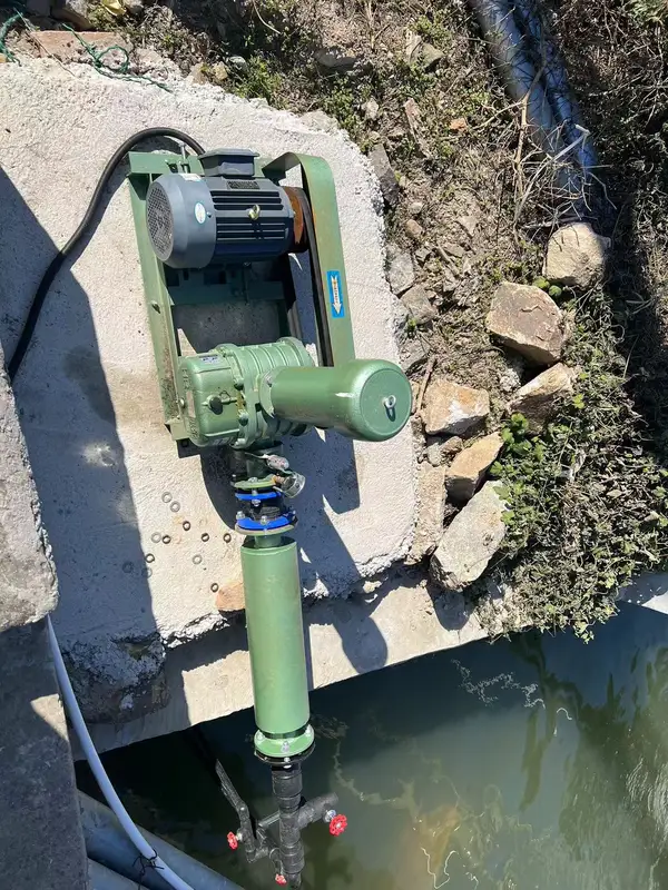 Roots Blower, 5hp, 220v - view 5