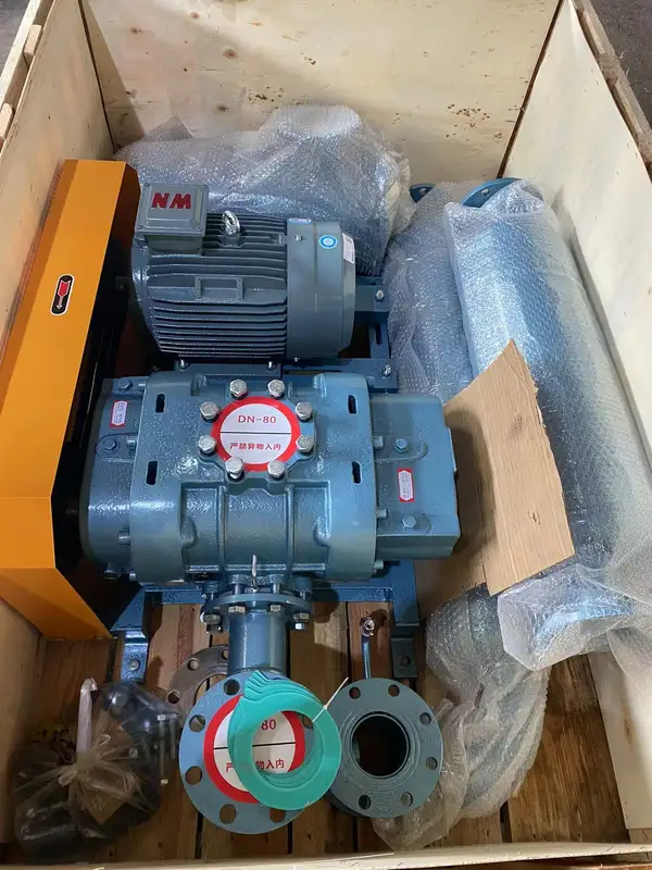 Roots Blower, Cast, 15kw - view 2
