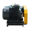 Roots Blower, Cast, 220V/400V/380V - view 3