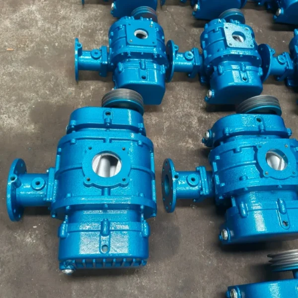Roots Blower, Cast, 220V/400V/380V - view 6