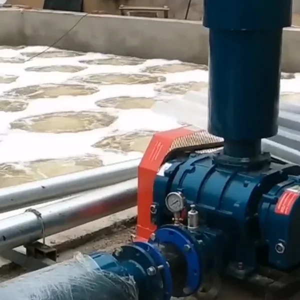 Roots Blower, Cast, 380 V, Electric - view 3