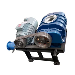 Roots Blower, Cast, 380 V, Electric Blower