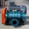 Roots Blower, Cast, 380V, 50Hz, VFD - view 2