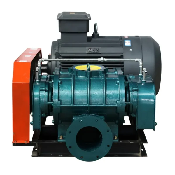 Roots Blower, Cast, 380V, 50Hz, VFD - view 4