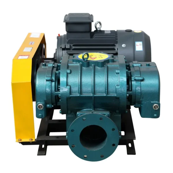 Roots Blower, Cast, 380V, 50Hz, VFD - view 5