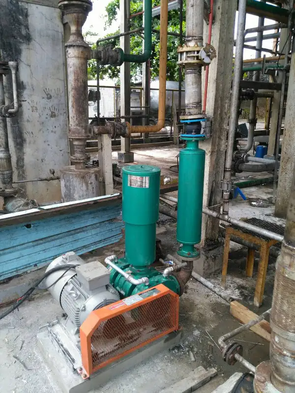 Roots Blower, Explosion-Proof, 220V - view 3