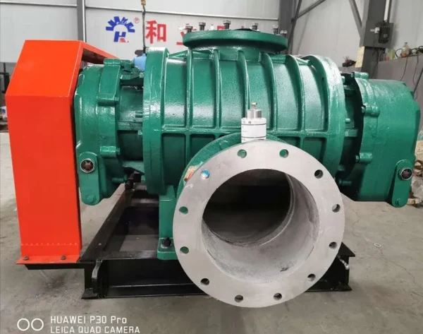 Roots Blower, Explosion-Proof, 220V - view 5