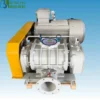 Roots Blower, ISO9001, 220 V, Electric - view 2