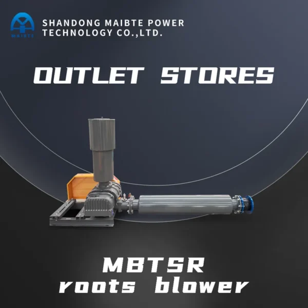 Roots Blower, MAIBTE, Cast, 3HP, RAS - view 3
