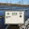 Roots Blower, MAIBTE, MBT05-MBT300
