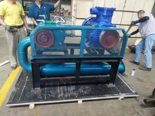 Roots Blower, Stainless, Steel - view 5