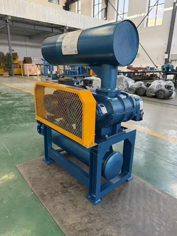 Roots Blower, STP, 380 V, Electric - view 6