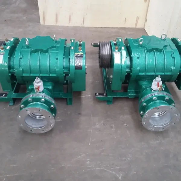 Roots Rotary Lobe Blower, 10hp, 220 V, 0.5~500m3 - view 6